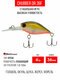Gold Shiner