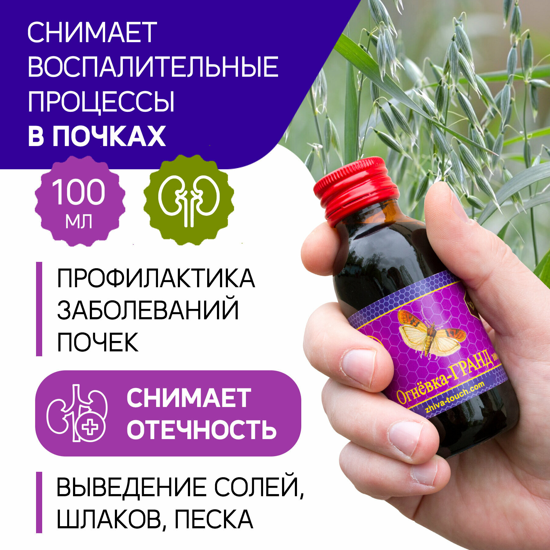 Картинки Настойка Огневка - Гранд для почек, мочевыводящих каналов, выведения солей и шлаков, от отеков, 100 мл.