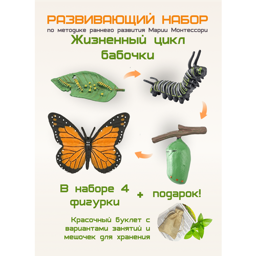 Набор Жизненный цикл Бабочки Монарх игры для детей развивающие методика Монтессори развитие речи