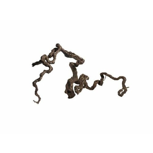 Коряга комель виноградной лозы 2977₽