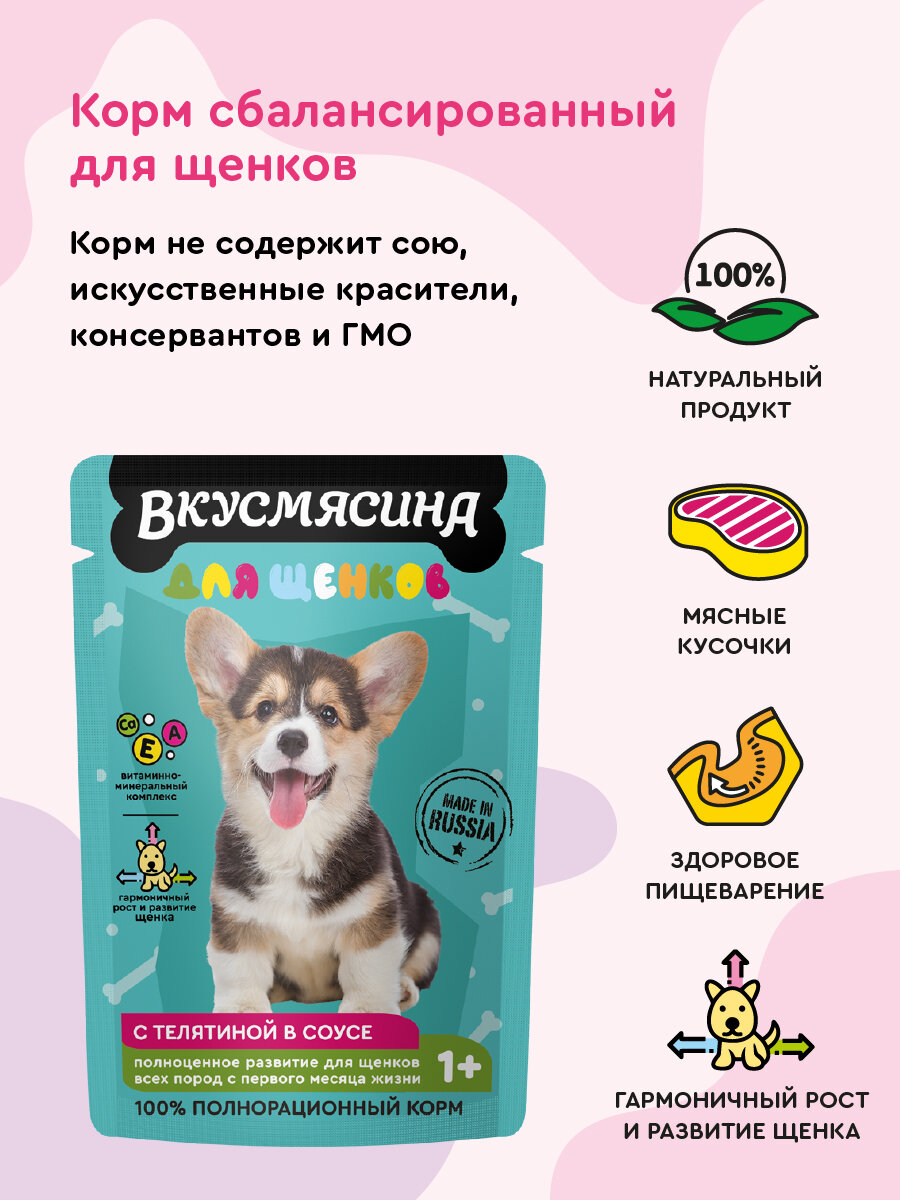 Корм влажный для щенков вкусмясина Пауч, Кусочки с телятиной в соусе, 85 г х 30 шт. — фото 1