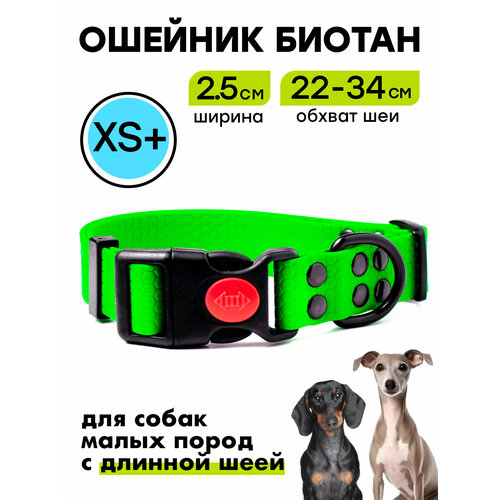 Ошейник из биотана 22-34 см (XS+), 25 мм , Woofy "Iron", для маленьких собак, водостойкий, зеленый