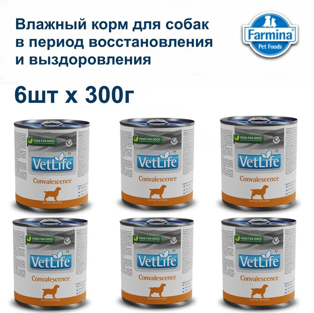 Влажный корм для собак Farmina Vet Life Dog Convalescence в период выздоровления и реабилитации, 6 шт х 300 гр