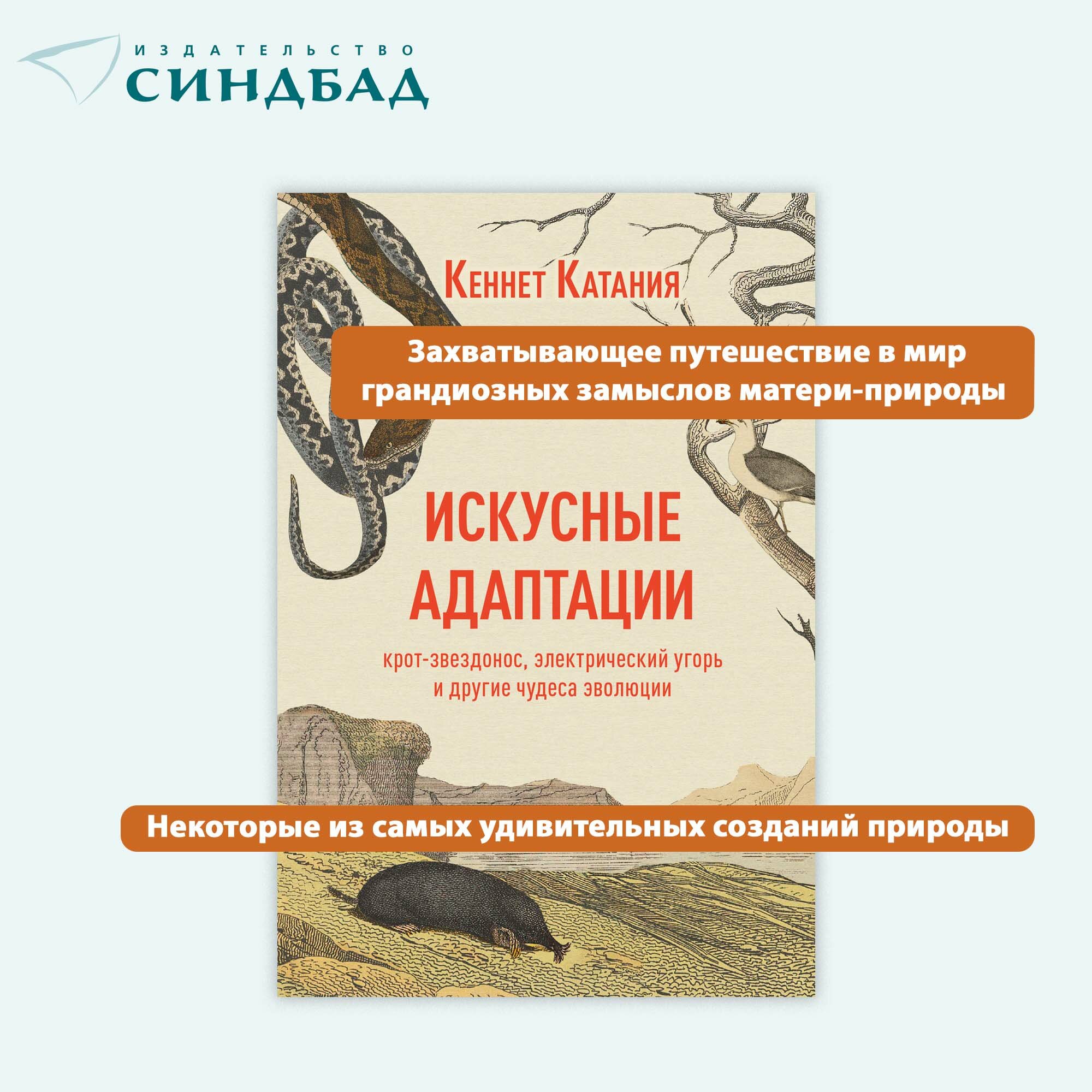Книга Искусные адаптации. Кеннет Катания. Синдбад. Твердый переплет — фото 1