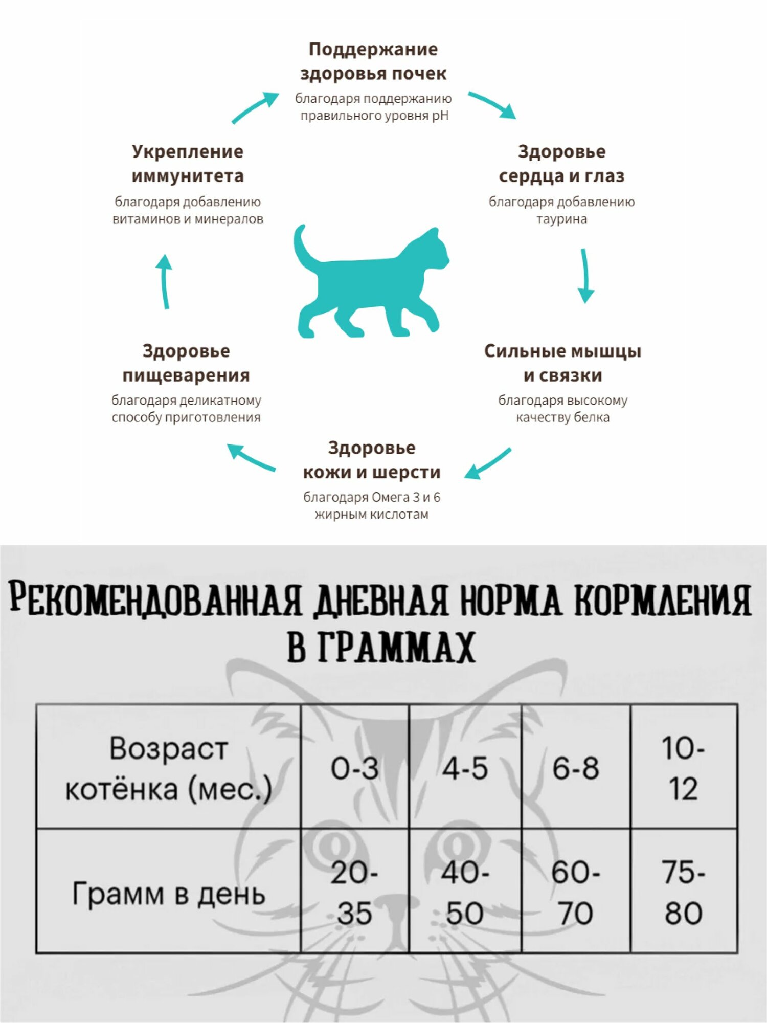 Корм сухой для кошек GRANDORF Ягнёнок с индейкой (рис) Kitten 2кг. Для котят в возрасте от 3 недель, беременных и кормящих кошек. С пробиотиками, низкозерновой. — фото 1