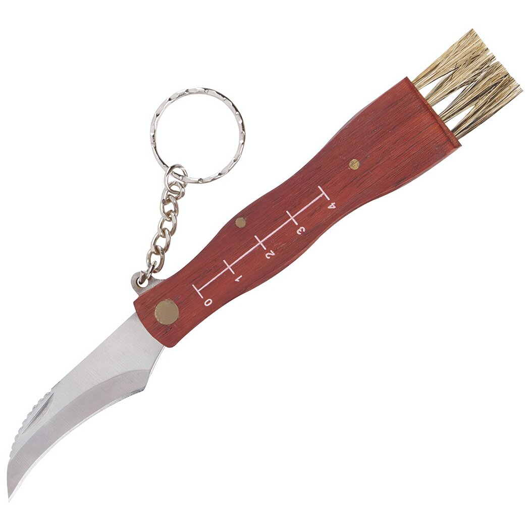 Нож грибника складной 17см с щеткой и мерной шкалой нержавеющая сталь деревянная ручка