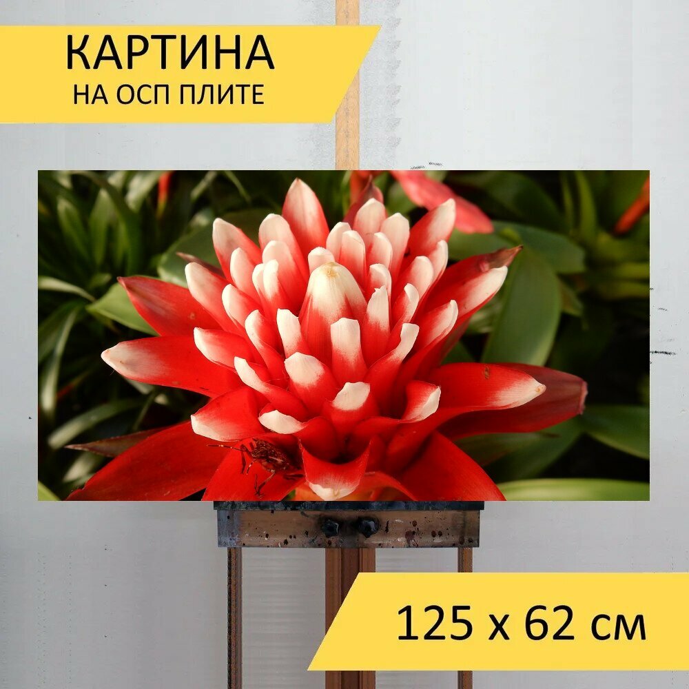 Картина на ОСП 125х62 см. 