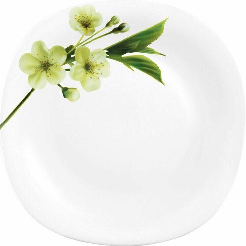 Набор обеденных тарелок La Opala Quadra Snowdrop, размером 27,8х27,8 см, 6 персон