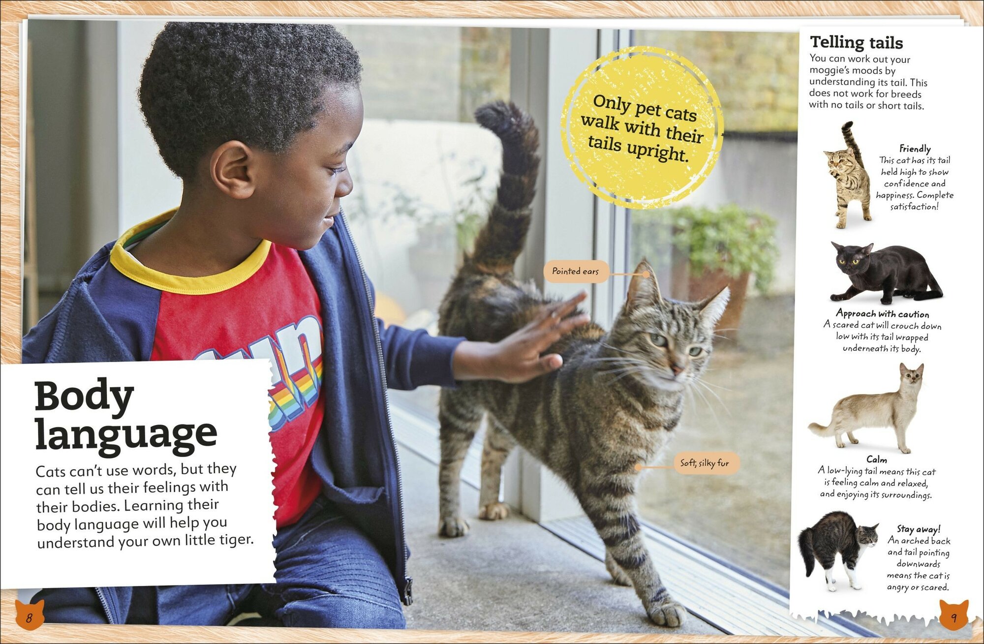 My Book of Cats and Kittens - фото №4