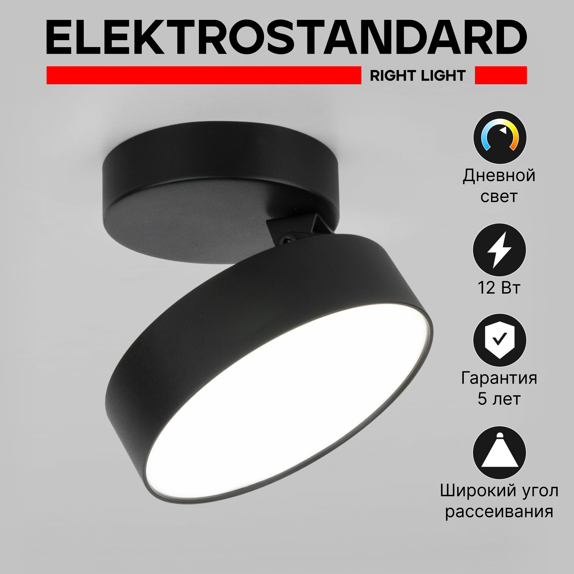 Спот / Накладной светодиодный светильник с поворотным плафоном Elektrostandard Pila 25135/LED, 12 Вт, 4200К, цвет черный