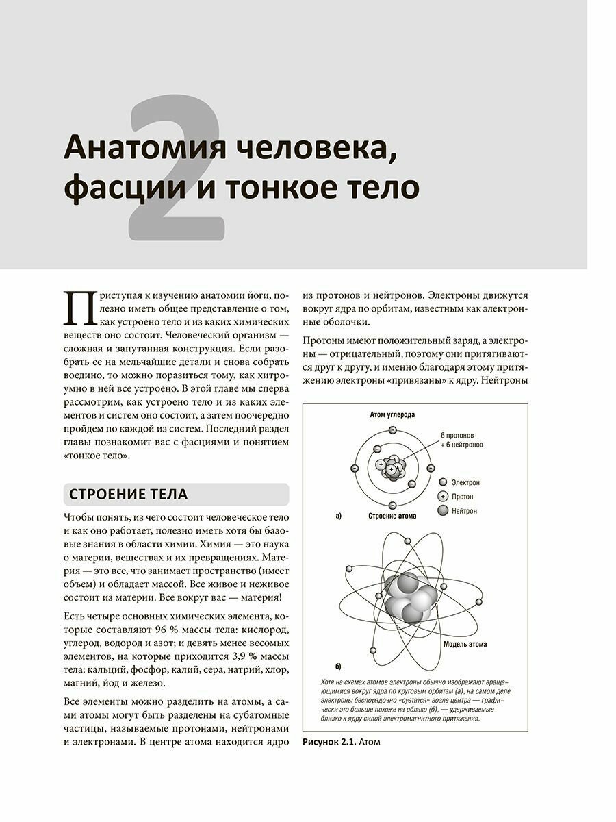 Анатомия йоги. Раскраска. Изучите форму и биомеханику более чем 50 асан - фото №13