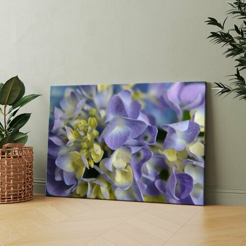 Картина на холсте (Крупный план фиолетового цветка) 20x30 см. Интерьерная, на стену.