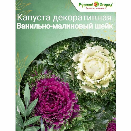 Капуста декоративная Ванильно-малиновый шейк F1