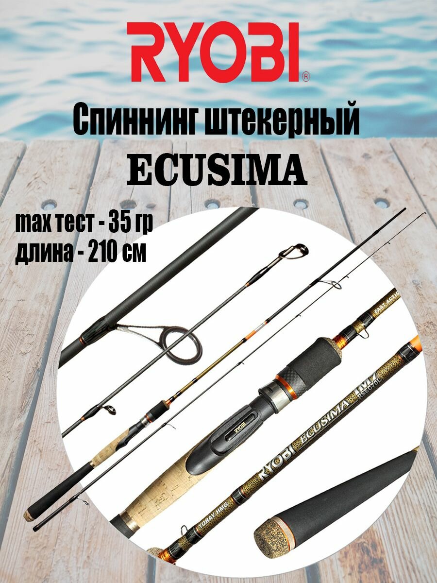 Спиннинг штекерный RYOBI ECUSIMA 2,10 10-35g