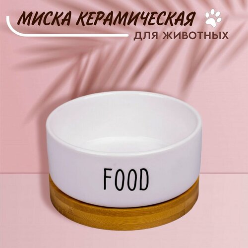 Керамическая миска на подставке для собак и кошек, Food 340мл