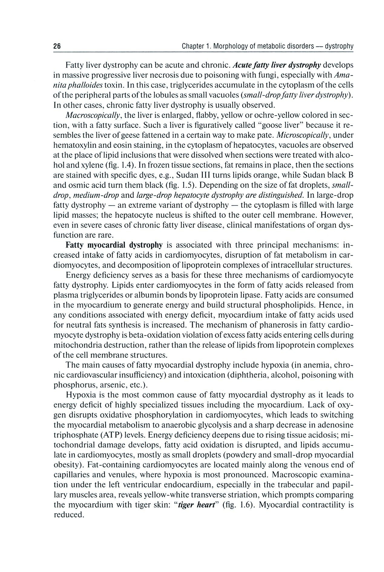 Pathological Anatomy. Textbook - фото №3