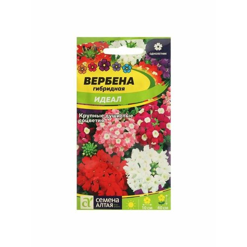 Семена цветов Вербена Идеал, гибридная, Сем. Алт, ц/п семена цветов аэлита вербена гибридная смесь сортов ц п 0 1 г