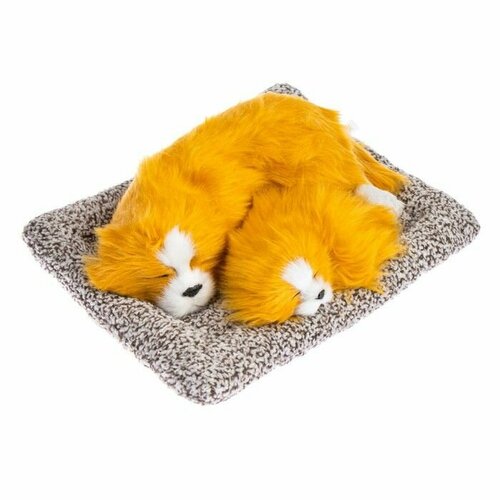 Игрушка на панель авто собаки на подушке бело-рыжий окрас 1598₽