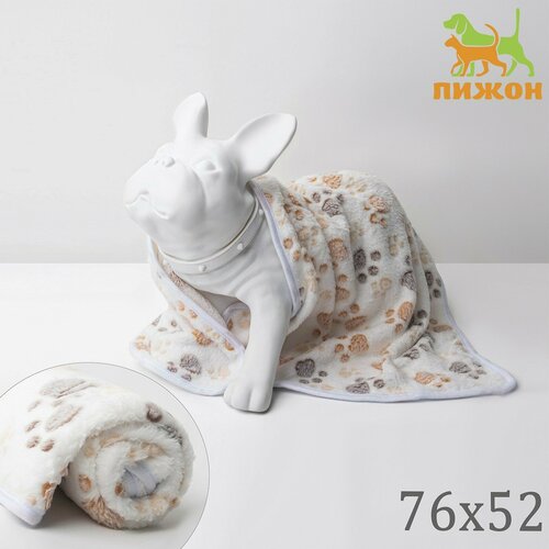 Плед для животных С любовью 76 х 52 см белый 637₽