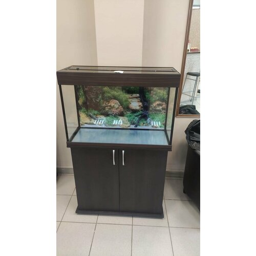 Аквариум 120 л AquariumBest с тумбой цвет Венге 81х31х57 (ДхШхВ)