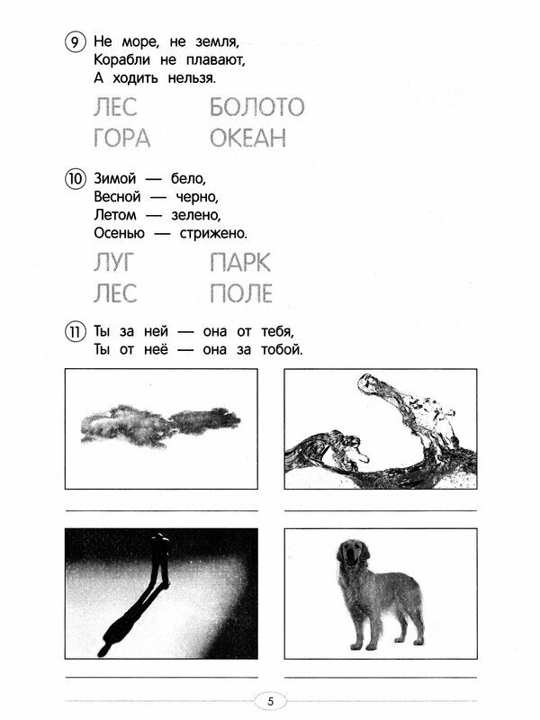 Обучающие тесты. Загадки окружающего мира. 6-7 лет - фото №4