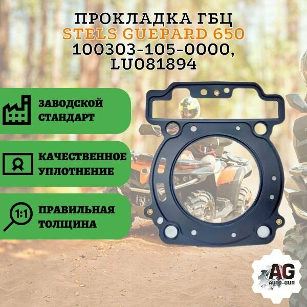 Прокладка ГБЦ STELS Guepard 650 100303-105-0000, LU081894