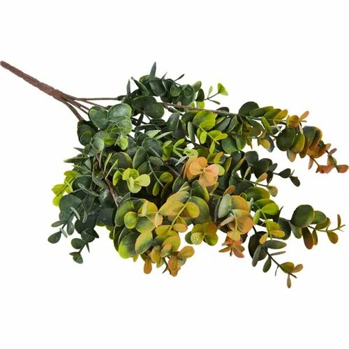 Искусственная ветка Эвкалипт пластик 10x45 см зеленая 1050₽