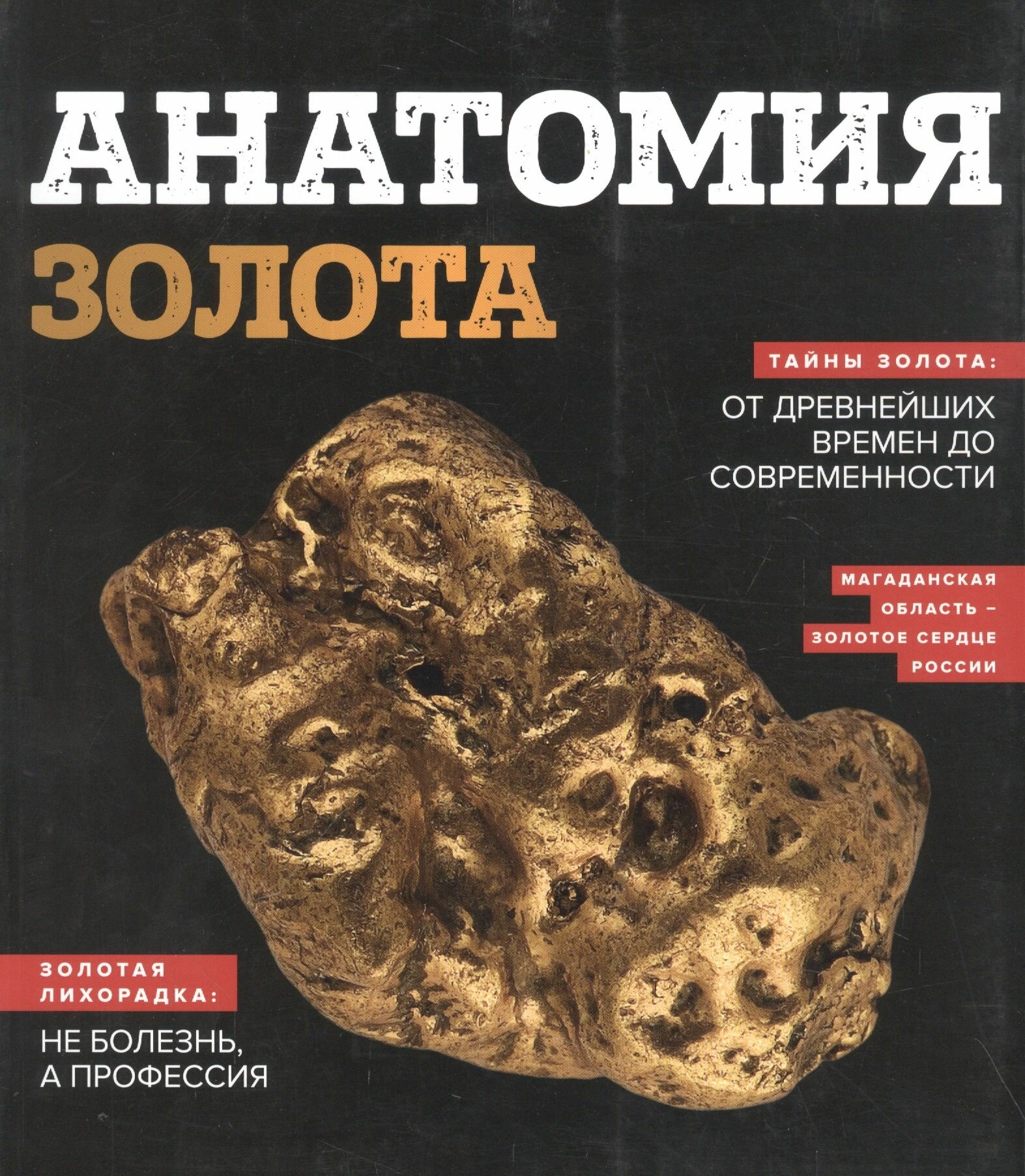 Анатомия золота (Агафонов Артур (редактор), Кравченко Екатерина (редактор)) - фото №5