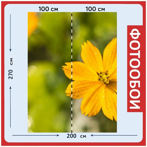 Фотообои Желтый зеленый черный чернить 200x270 см флизелиновыена стену 2950₽
