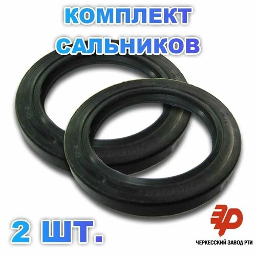 Комплект 2 шт. Сальник 2.2-100x125x12 ГОСТ 8752-70