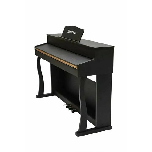 Цифровое фортепиано Pierre Cesar DP-500-H-BK 88 клавиш с 3х-педальнм блоком на стойке 70015₽