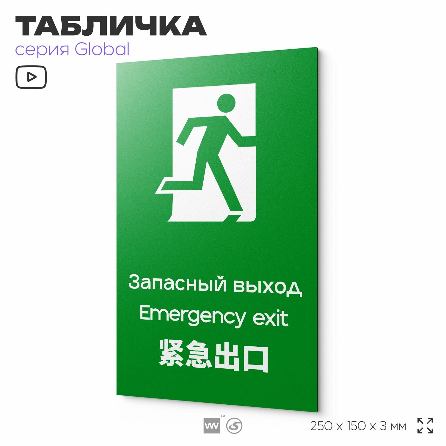 Табличка Запасный выход, на дверь и стену, информационная и мультиязычная (русский, английский, китайский), серия GLOBAL, 25х15 см, Айдентика Технолоджи
