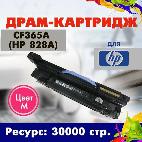 Драм-юнит Opticart CF365A HP 828A Фотобарабан пурпурный для HP Color LaserJet Enterprise M855 M880Z 10200₽