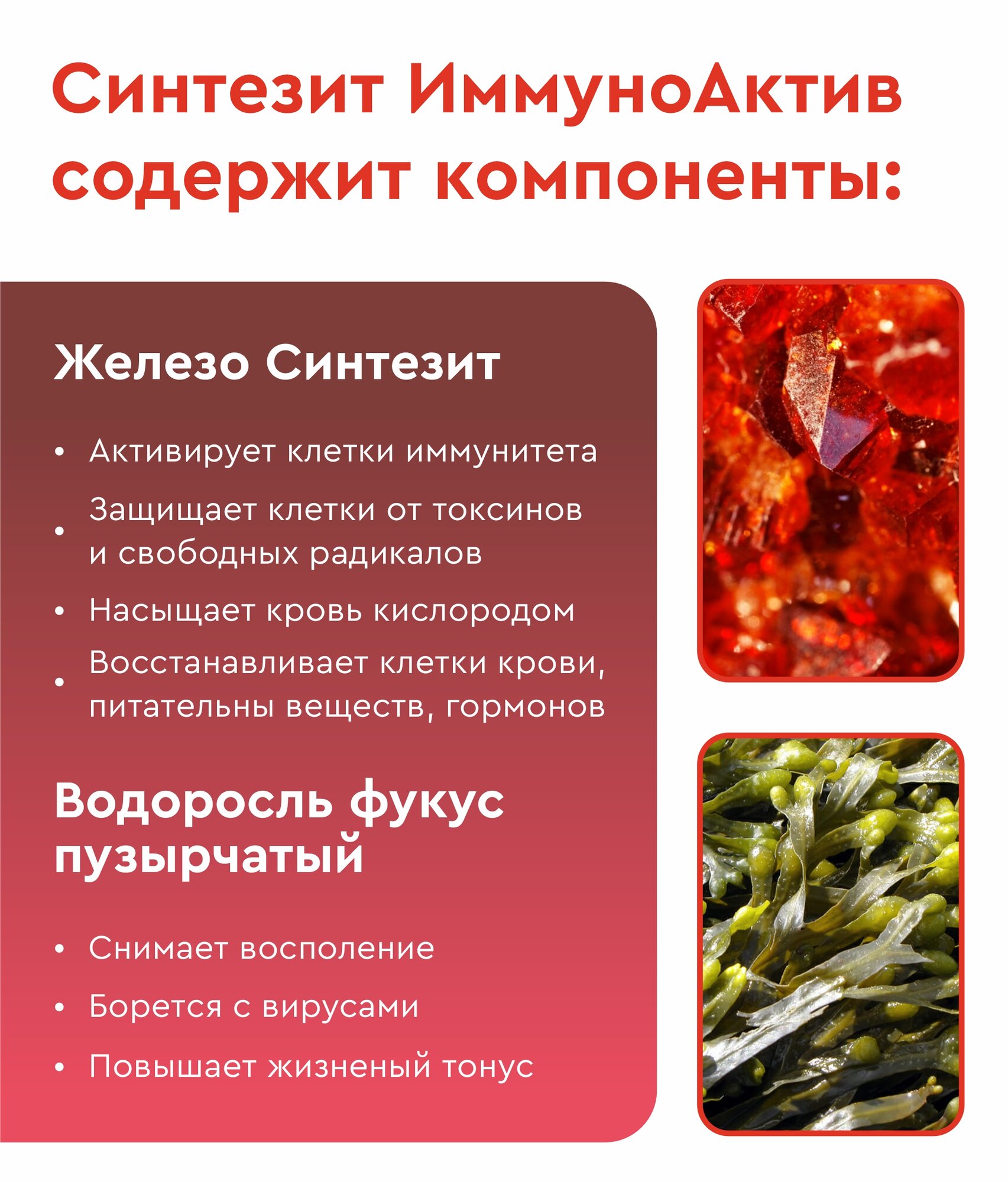 Изображение БАД Синтезит "ИммуноАктив", укрепление иммунитета, 300 мкг, 60 капс.