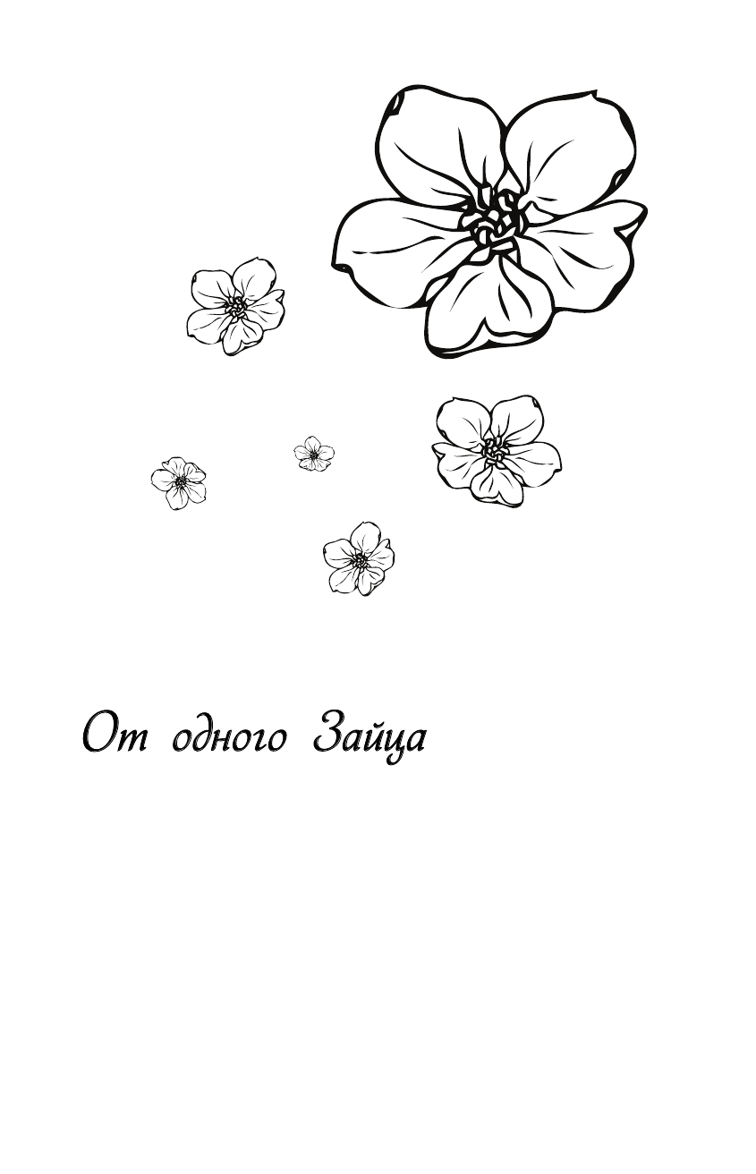 Весенняя любовь. Подарочное издание солнечных историй от Аси Лавринович