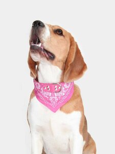 Основная фотография от вендора