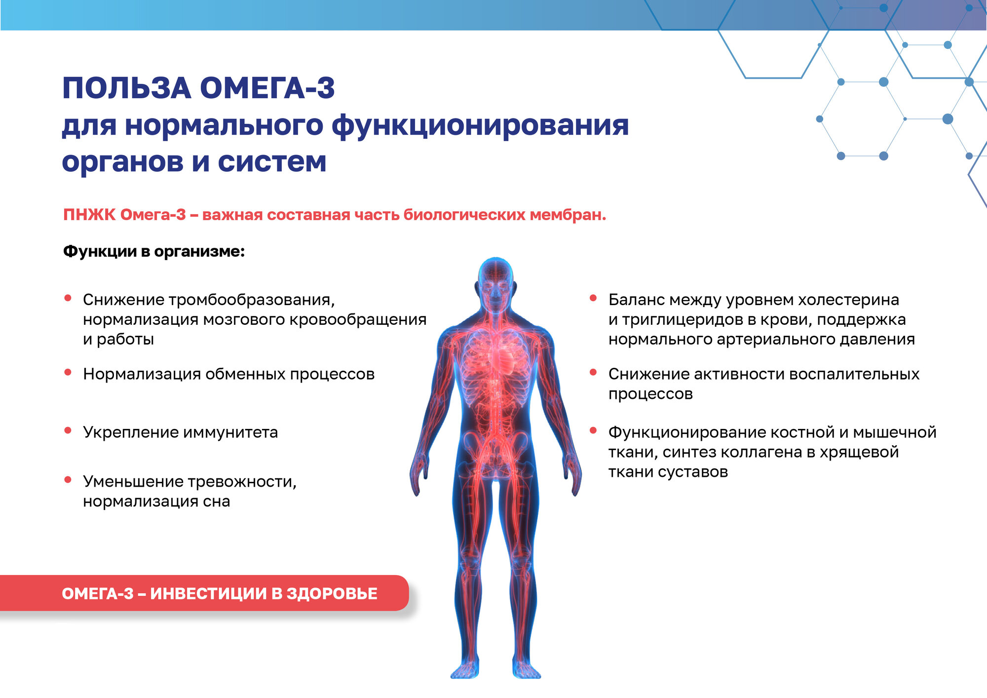 Изображение Омега - 3 капсулы 1000 мг, 42 шт из дикого камчатского лосося, для взрослых и детей