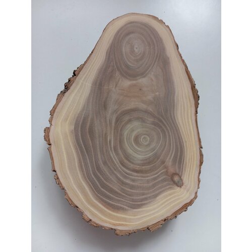 Спил дерева карагач , заготовка для творчества, поделок23/15/4см