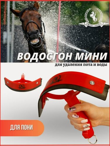 Изображение товара Sweethorse / Водосгон мини для лошади пластиковый, скребок красный