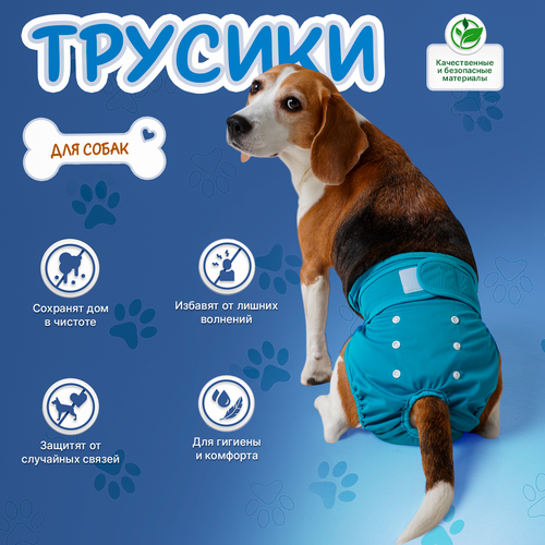 Трусы для собаки во время течки многоразовые M, подгузники для собак миниатюрных пород впитывающие