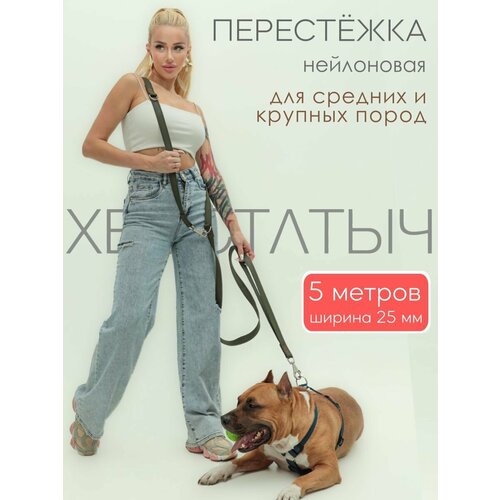 Перестежка для собак PRO прошитая нейлон 5 м х 25 мм (зеленый)