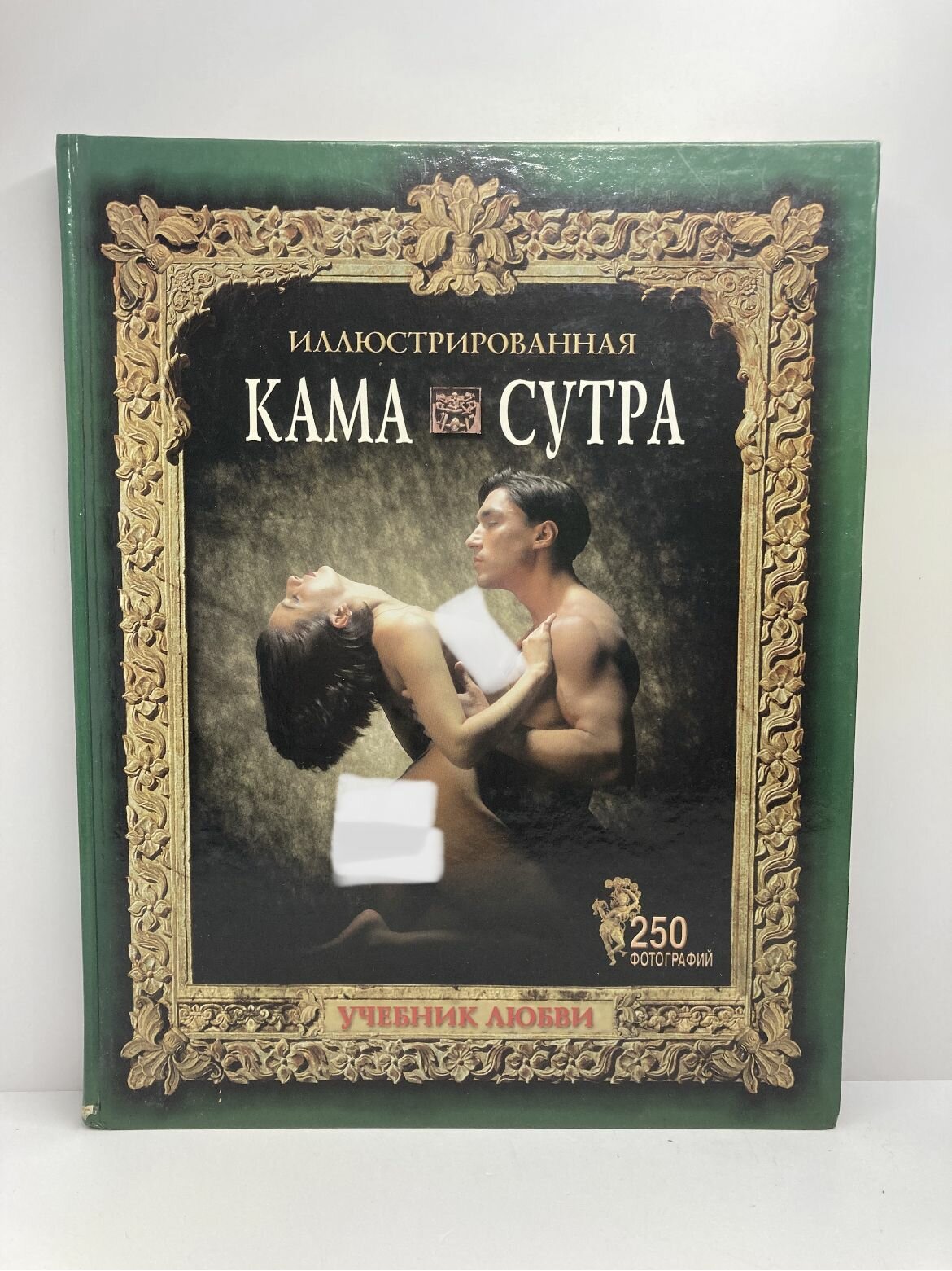 Иллюстрированная Камасутра. Учебник любви
