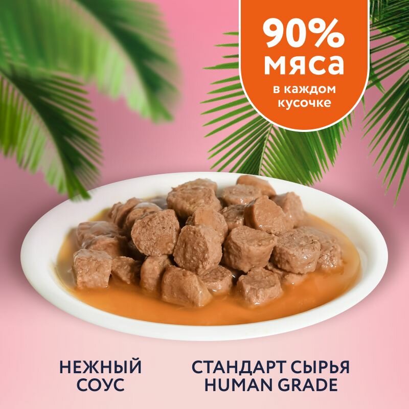 FLORIDA Паучи для кастрированных и склонных к ожирению кошек: кусочки с индейкой в соусе, 12 шт по 85 г Влажный корм — фото 1