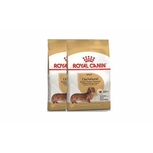 Royal Canin Dachshund Adult для взрослых собак породы Такса - 1,5 кг х 2 шт.