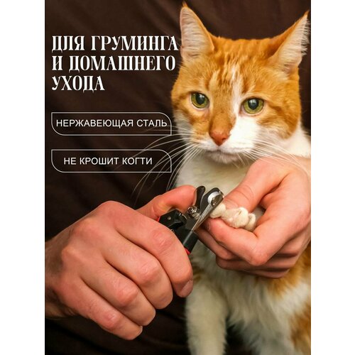 фото Когтерезка для кошек и собак средних и мелких пород markov , секатор ножницы для когтей пушистый помощник