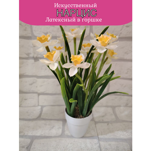 Нарцисс латекс от бренда Лотос 500₽