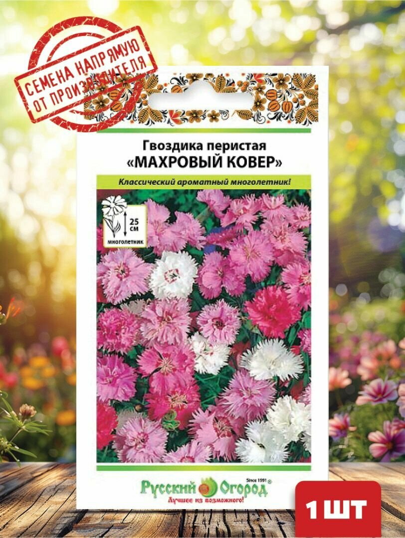 Гвоздика Махровый ковер, смесь