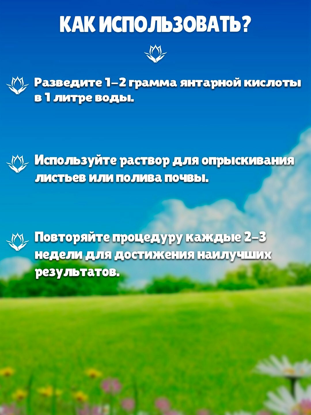 Регулятор роста Green Belt "Янтарная кислота", минеральное удобрение, 50г — фото 1