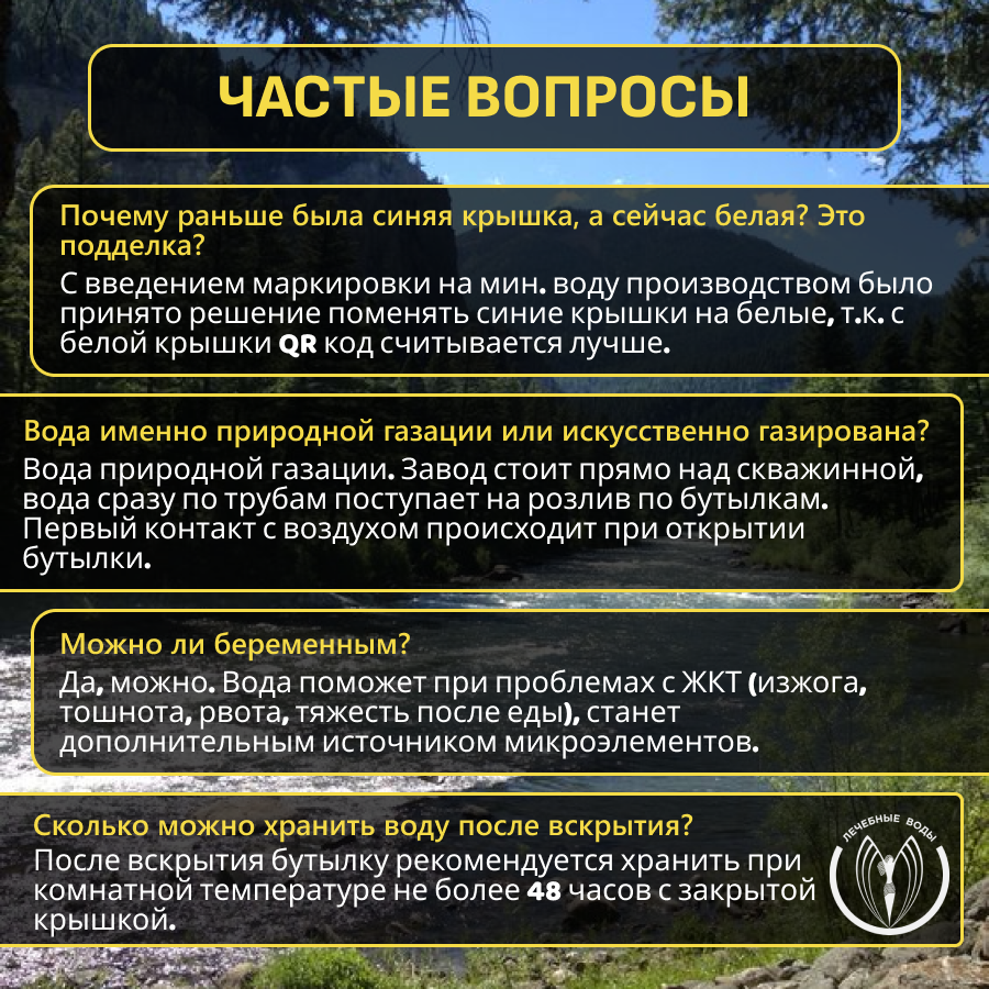 Вода Лечебно-Столовая Минеральная лечебно-столовая вода природной газации Билинска Киселка (Bilinska Kyselka) 1,0 л * 4 шт.