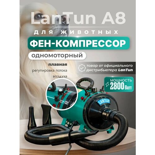 Фен компрессор для сушки шерсти собак и кошек 2800 Вт / Для животных